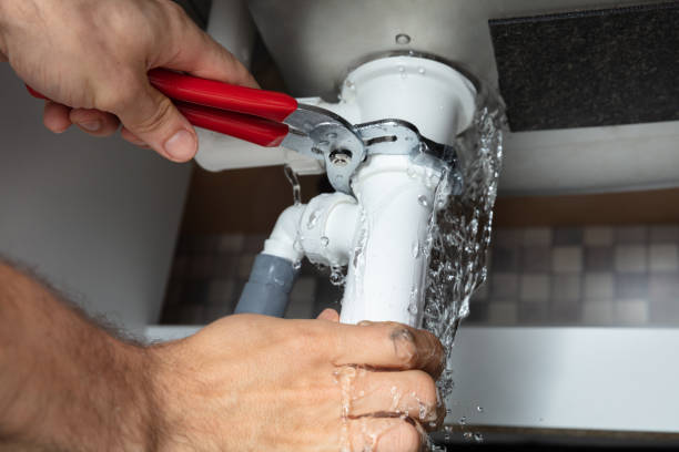Best Water damage cleanup near me  in Hamton, IL