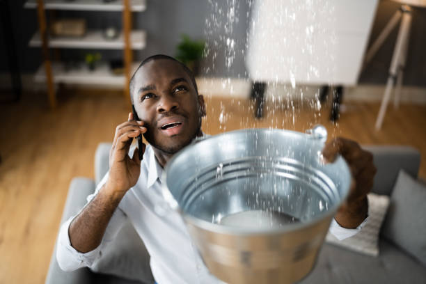 Best Sewage cleanup and water damage restoration  in Hamton, IL
