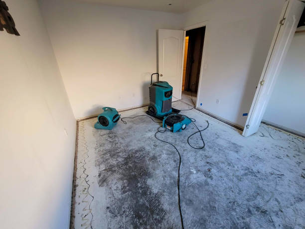 Best Flood restoration services  in Hamton, IL