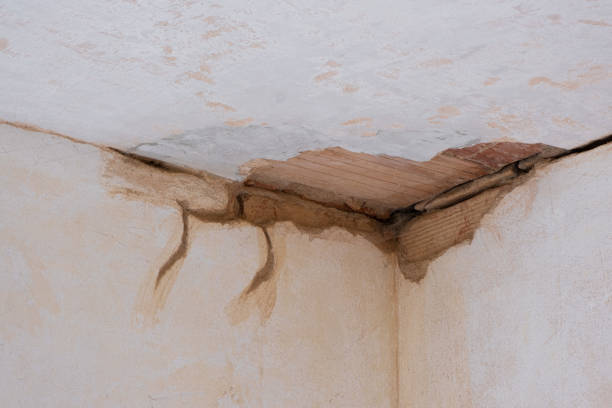Best Flood restoration services  in Hamton, IL