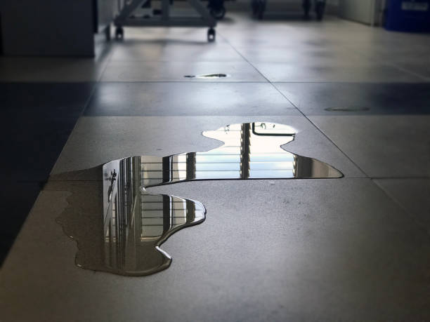Best Emergency water damage restoration  in Hamton, IL