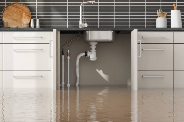 Best 24/7 water damage repair  in Hamton, IL